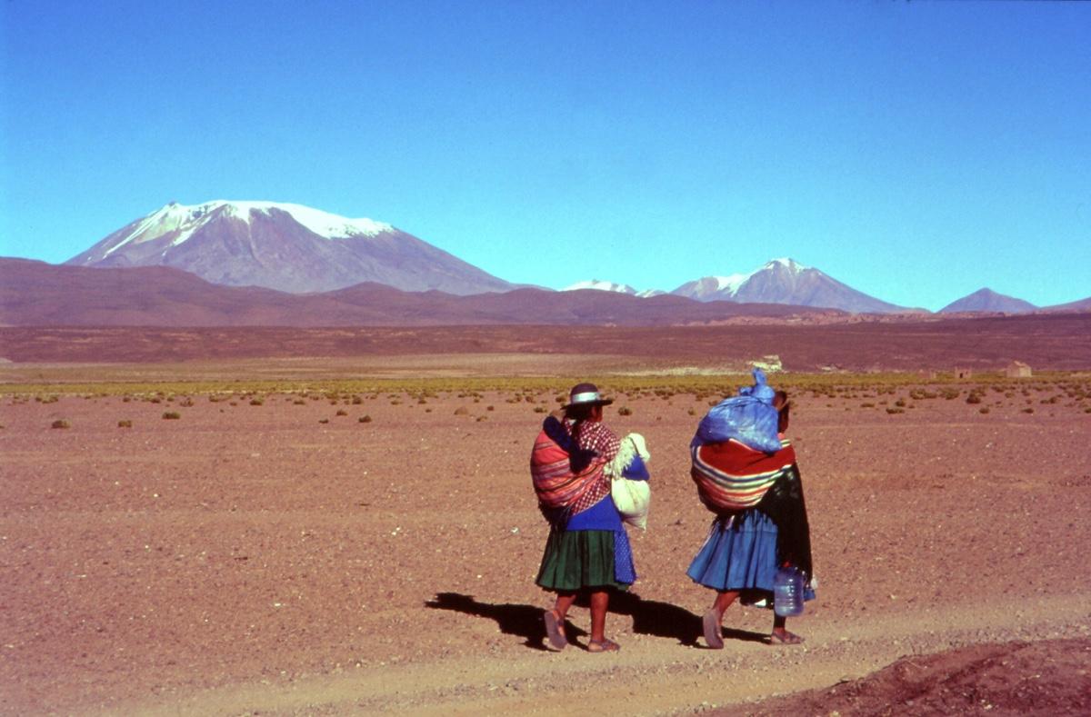 Altiplano bolivien