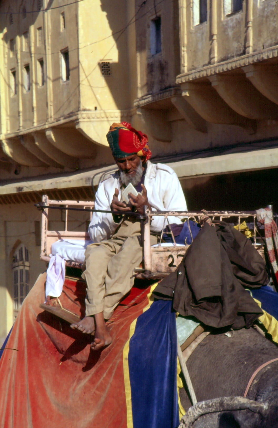 Amber palace