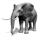 Elephant gif anime animaux 0500