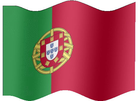 Portuguese flag 14