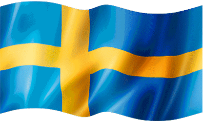 Sweden flag 8
