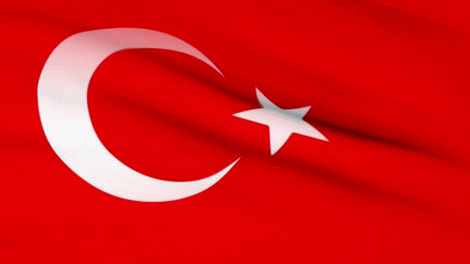 Turkish flag 28