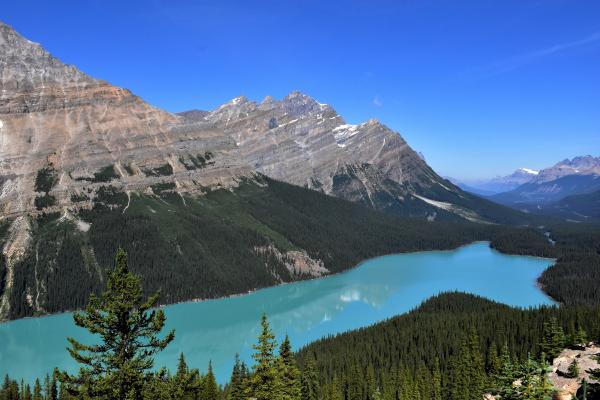 Lac Peyto