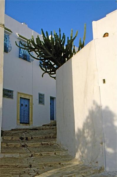 Sidi Bou Saïd