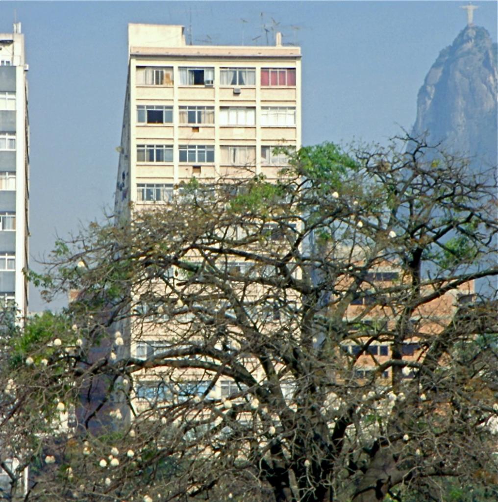 Le Corcovado domine la vile