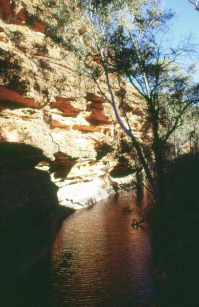 Kings Canyon