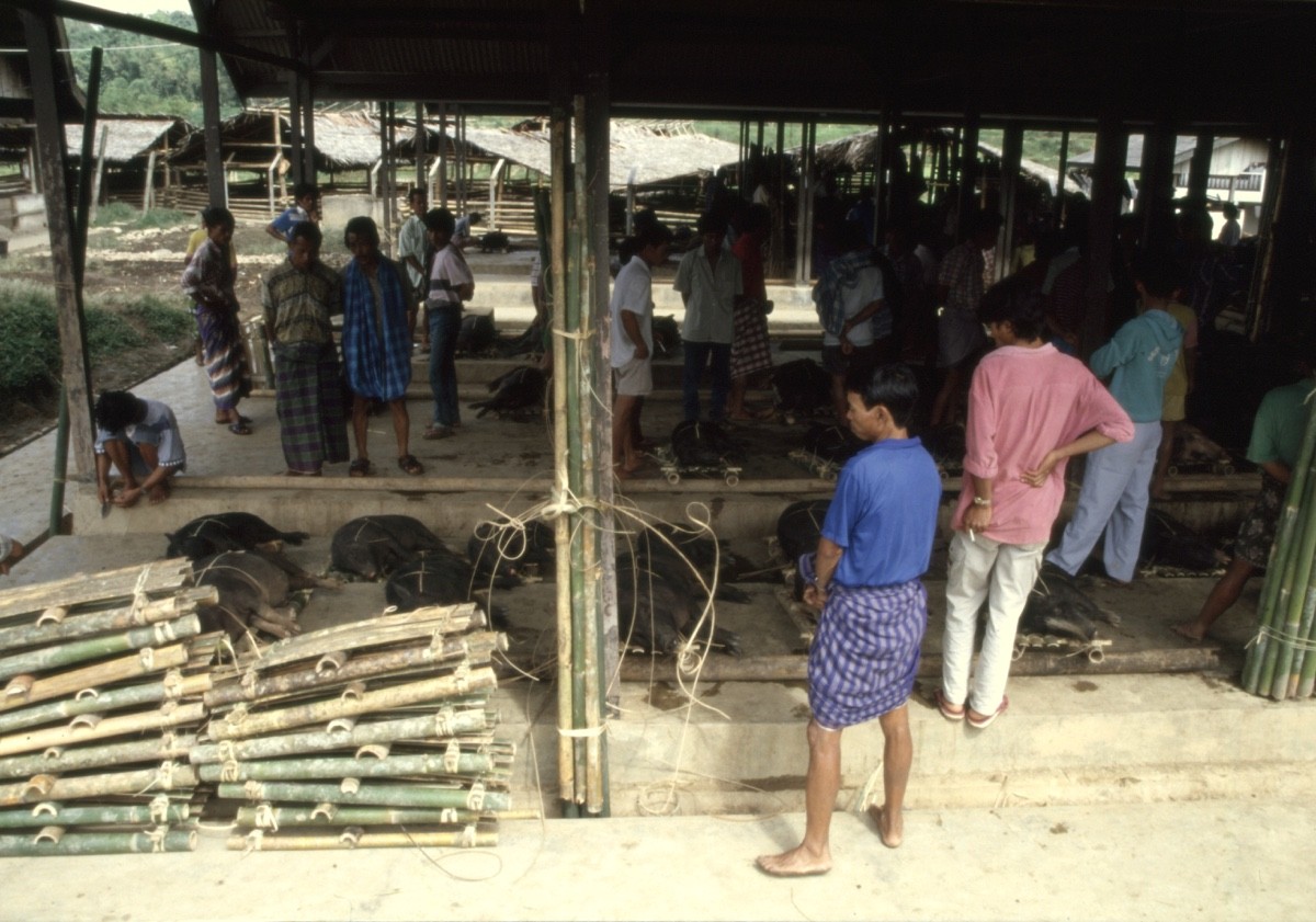 Marché de Rantepao