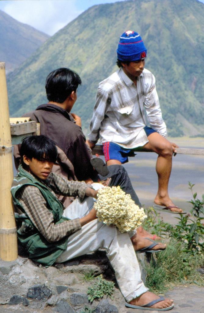 Peuple Tengger avec leurs offrandes au volcan