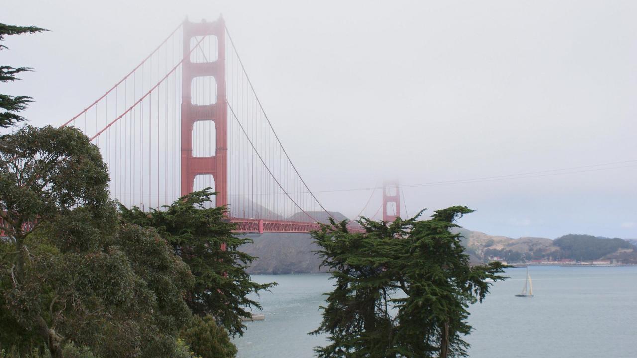 Golden Gate et brouillard matinal