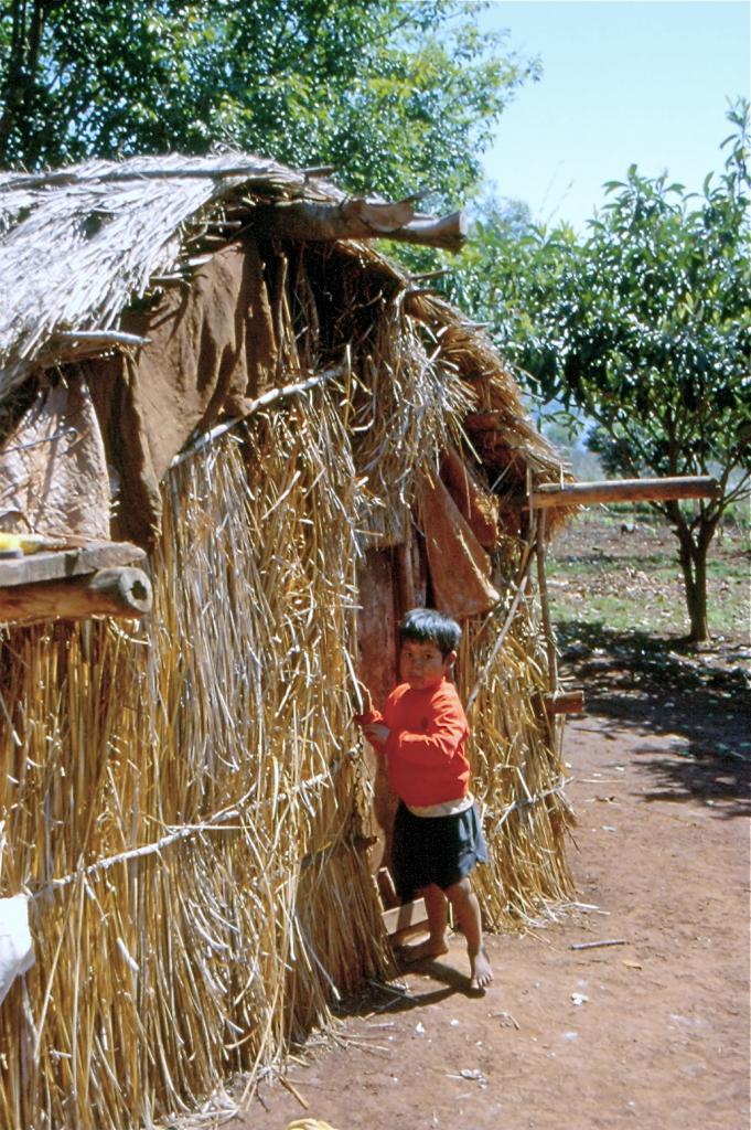 Maison traditionnelle