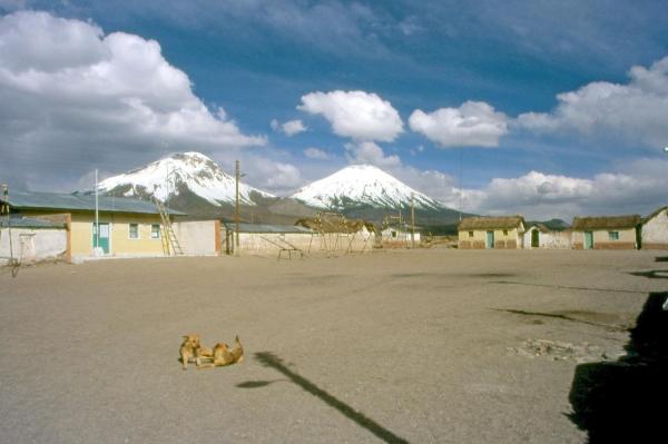 Altiplano chilien
