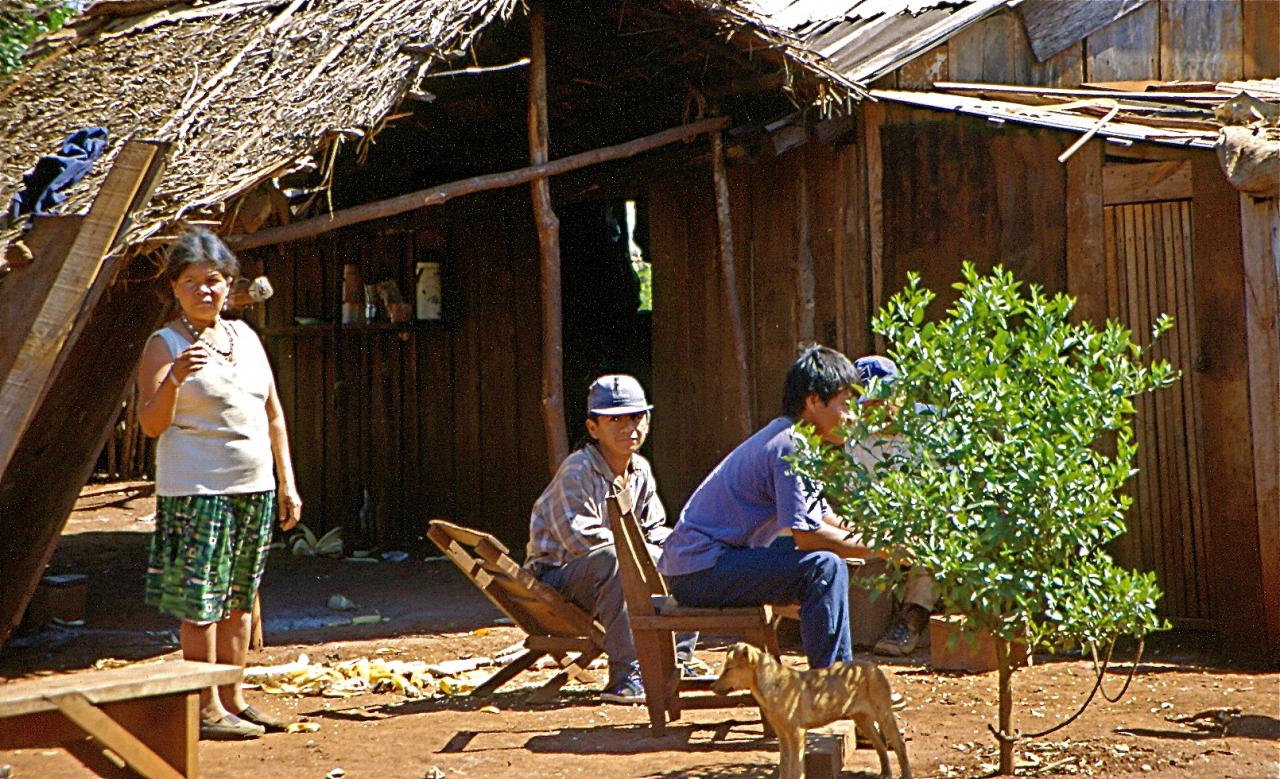 Indiens guarani