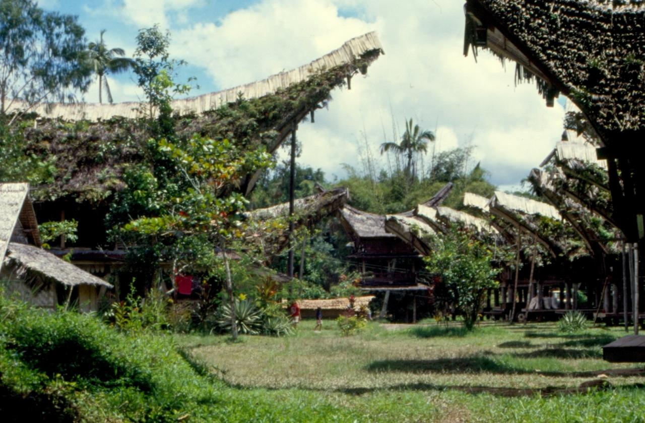 Village typiqueToraja