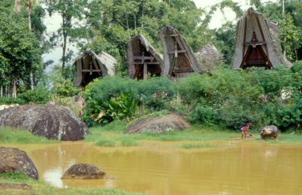 Le peuple Toraja