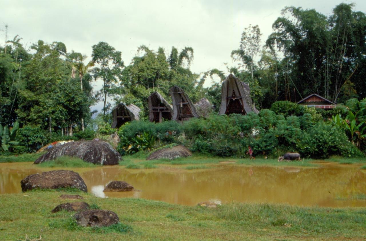 Village Toraja traditionnel