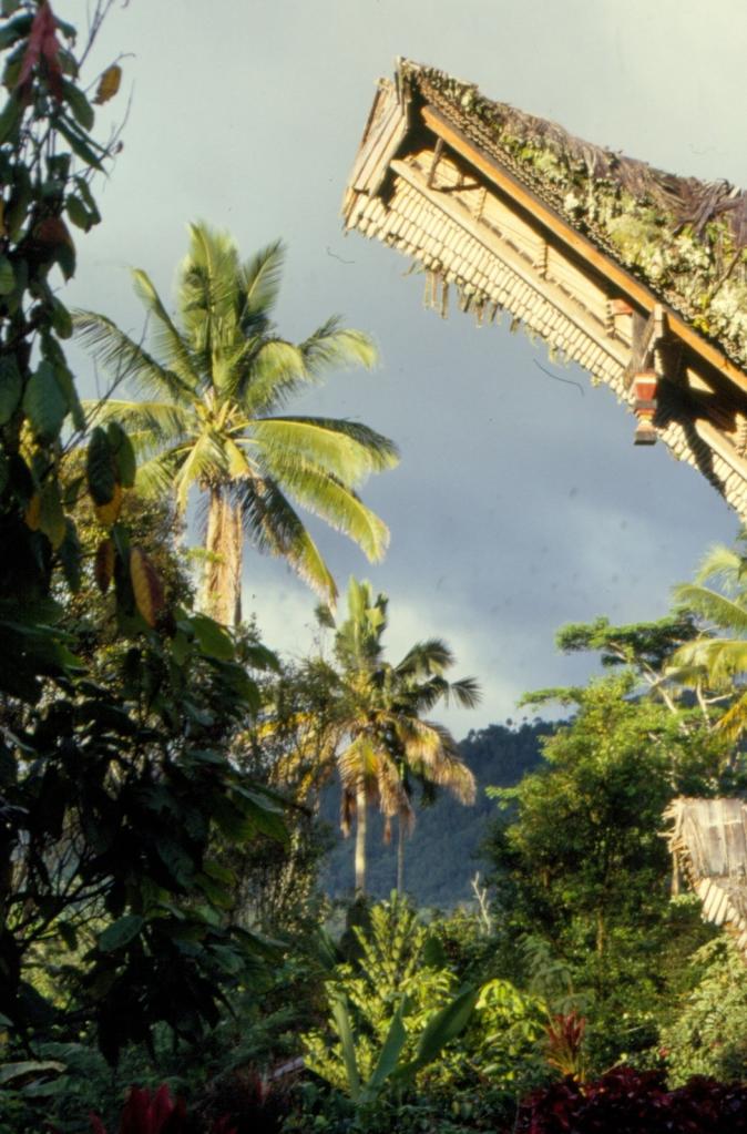 Cette belle lumière du pays Toraja