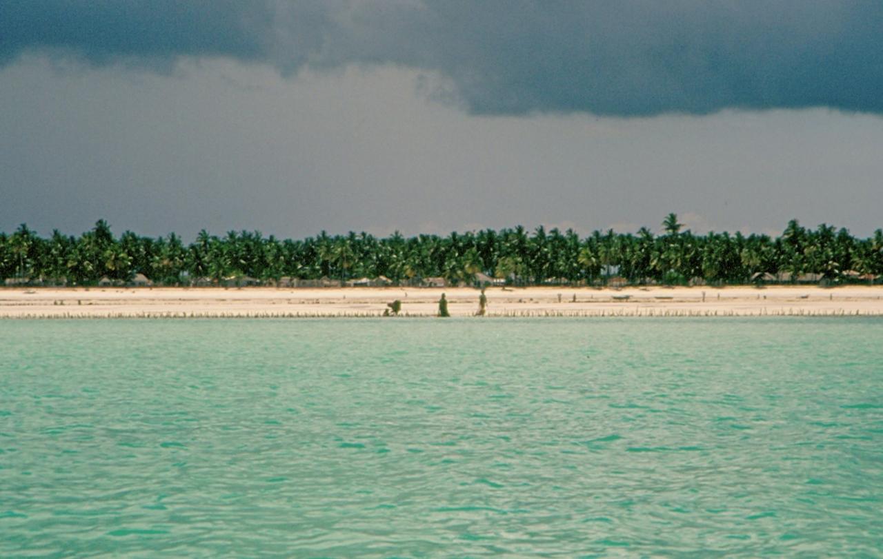 Plage de Jambiani