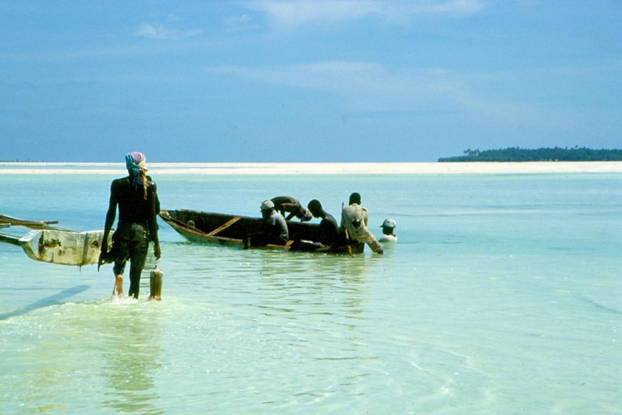 Zanzibar 6