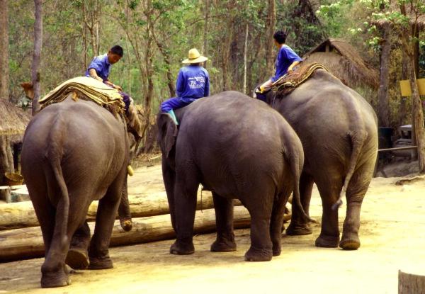 Chiang mai