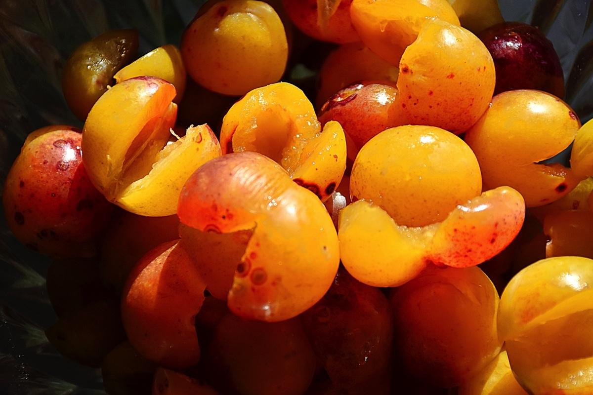 Fruit d or