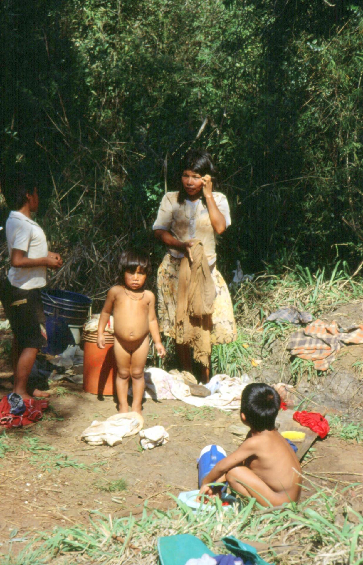 Indiens guarani