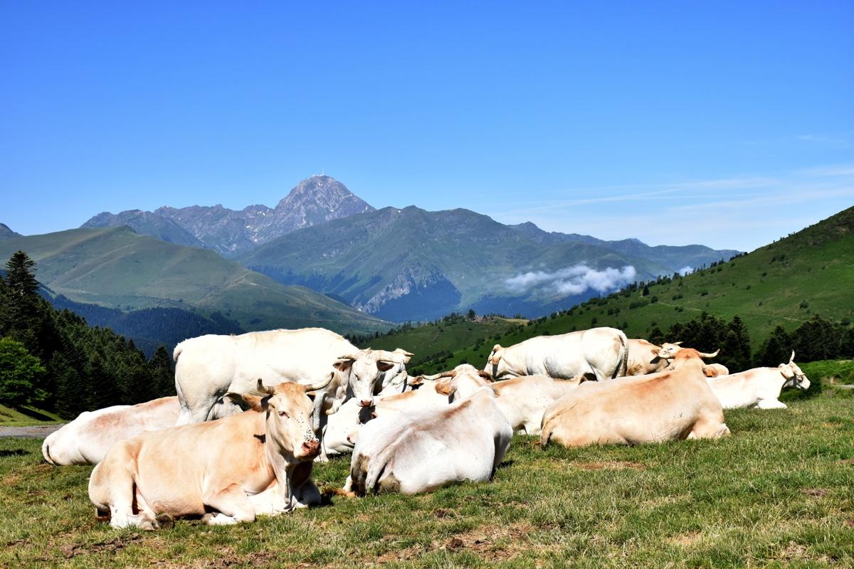Pic du midi de bigorre